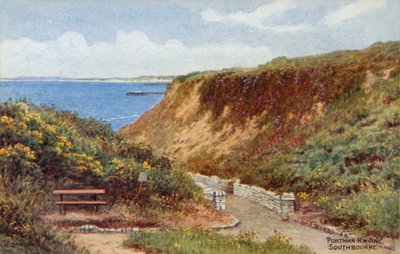 Portman Ravine, Southbourne by Alfred Robert Quinton